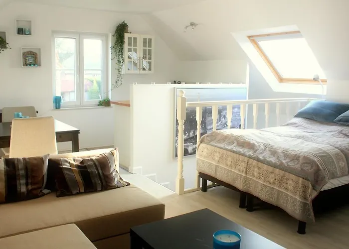 Studio Apartment Alba
